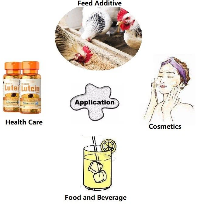 Lutein powder applications Lutein powder applications