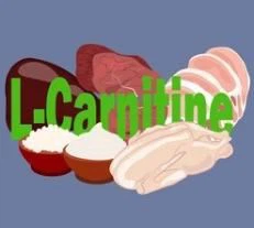 L-carnitine