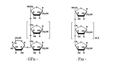 lnulin structure