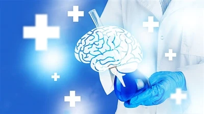 آیا فسفاتیدیل سرین واقعاً کار می کند؟