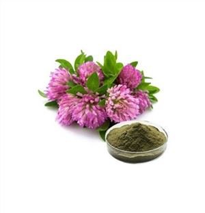 پودر عصاره شبدر قرمز